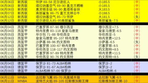 2026美国德国世界杯投注官网：主场优势下的关键对决终极指南