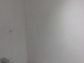 Jpeg