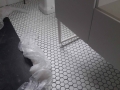 20170904_103418